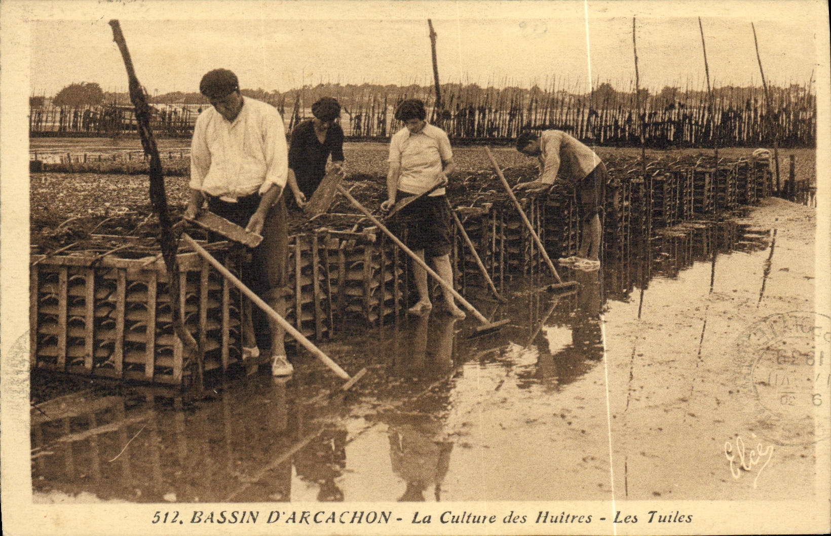VINTAGE POSTCARD Dimension D Arcachon Money Culture of Oysters the Tiles Ostreiculture