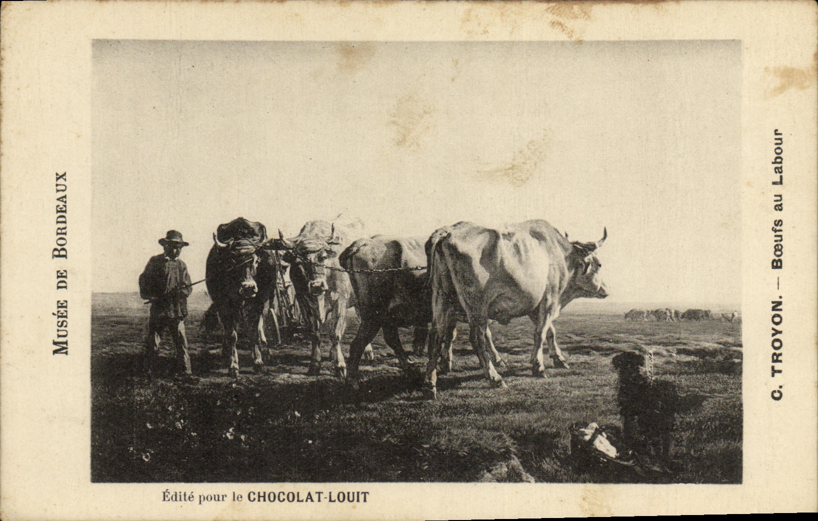 CPA Bordeaux Musee Troyon Boeufs au Labour