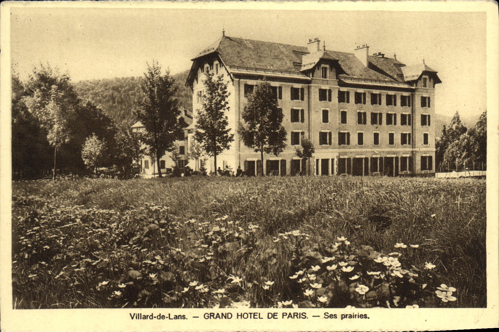 VINTAGE POSTCARD Villard de Lans Large Hotel of Paris meadows