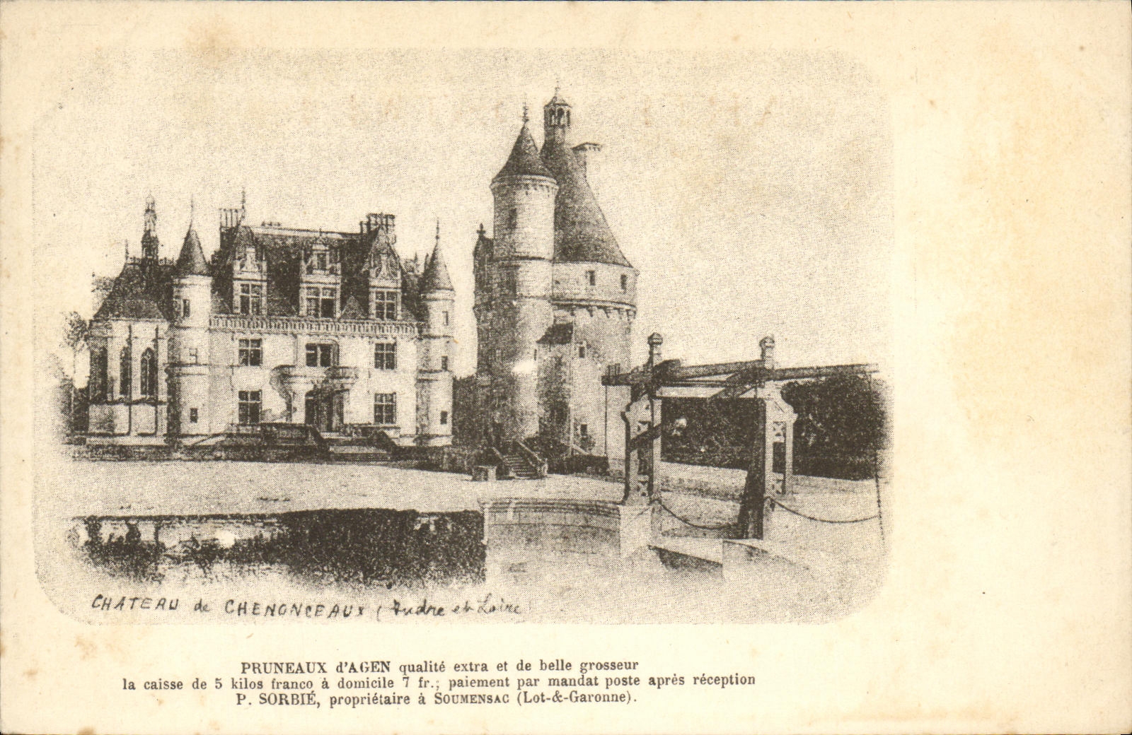 VINTAGE POSTCARD Chenonceaux Castle