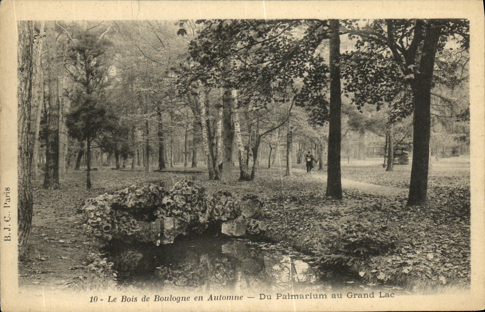CPA Le Bois de Boulogne en Automne Du Palmarium au Grand Lac