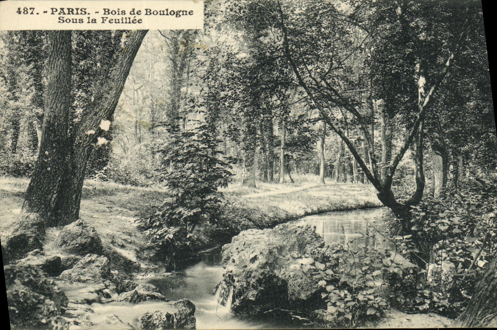 CPA Paris Bois de Boulogne Sous la Feuillee