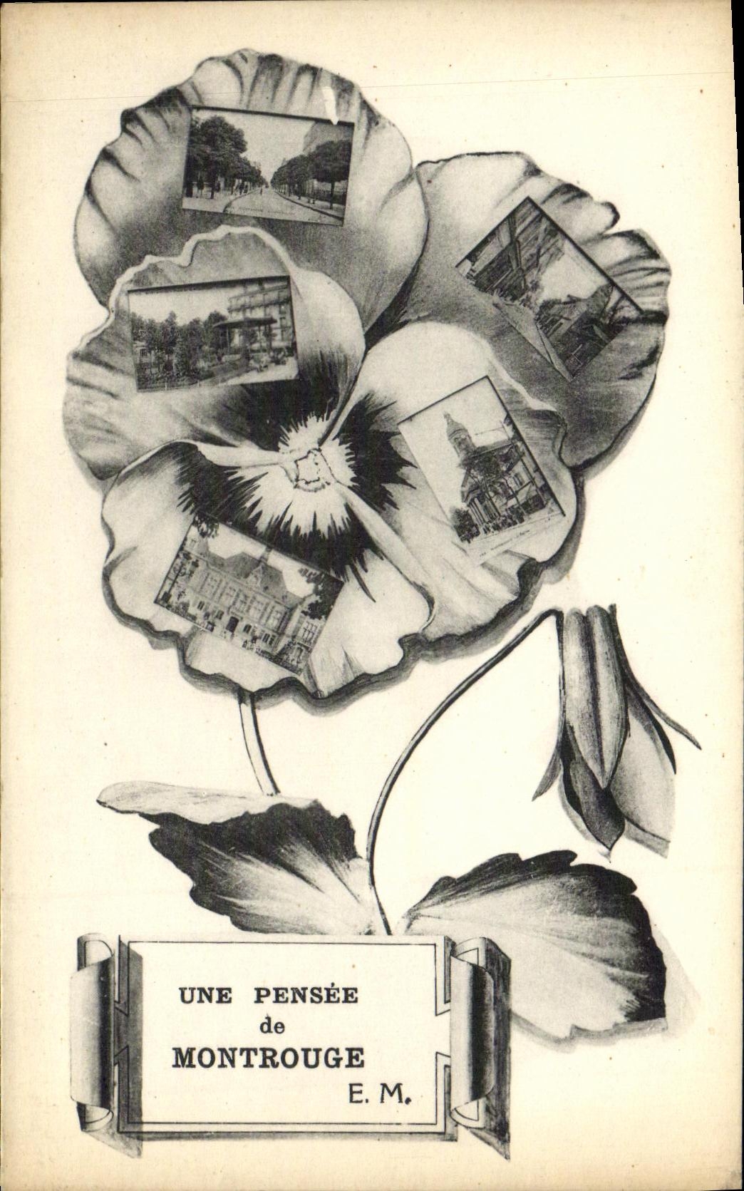 VINTAGE POSTCARD a Thought of Montrouge Flower