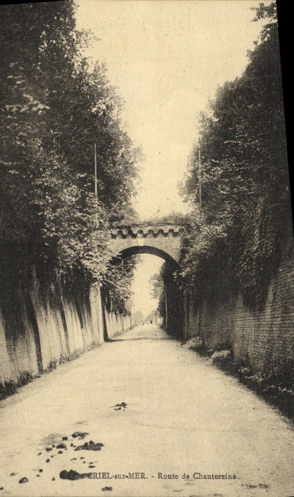 VINTAGE POSTCARD Criel on Sea Road of Chatereine