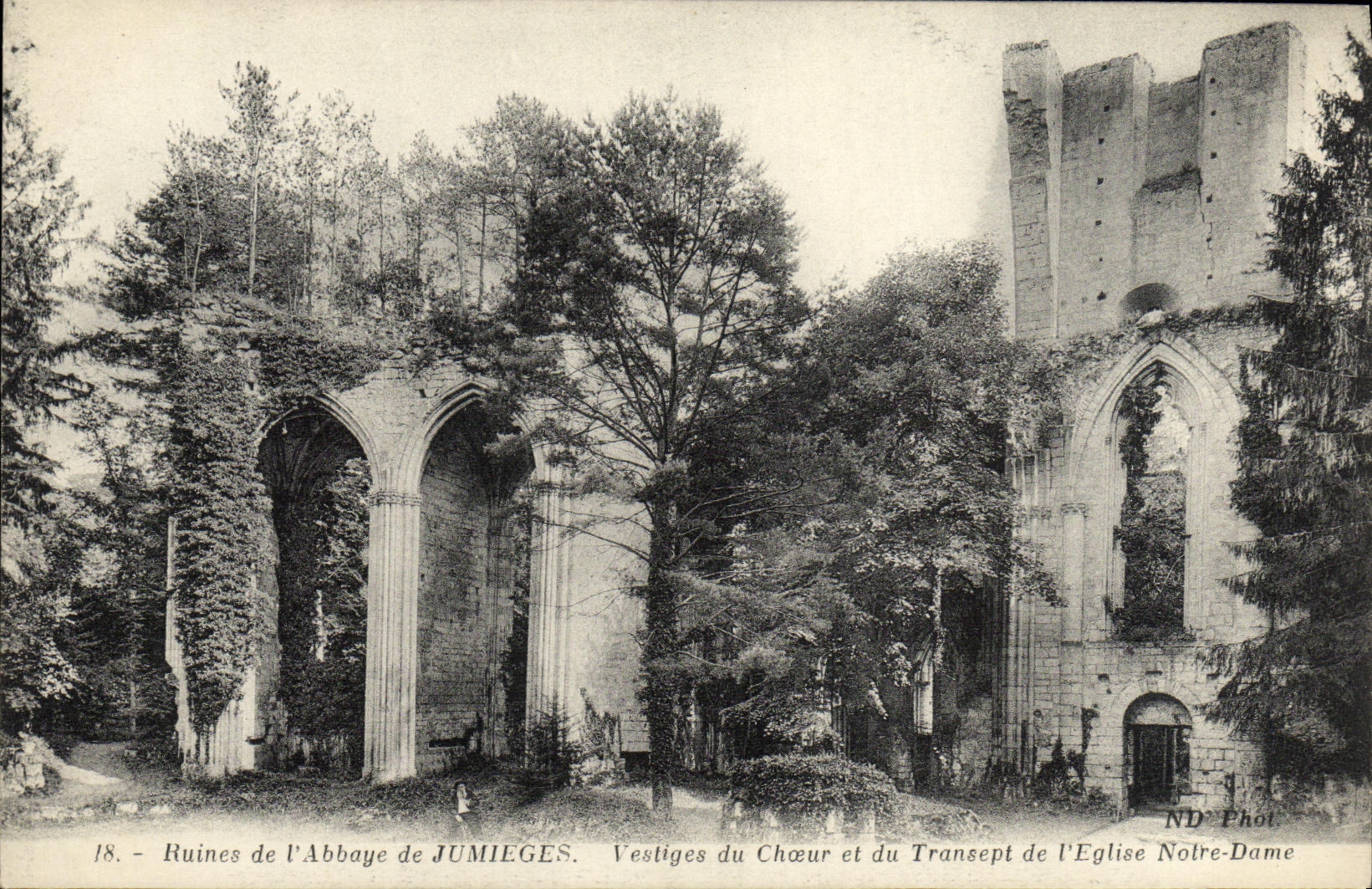VINTAGE POSTCARD Ruins of L Abbey of Jumieges Vestiges of the chorus and the transept of L Notre Dame church