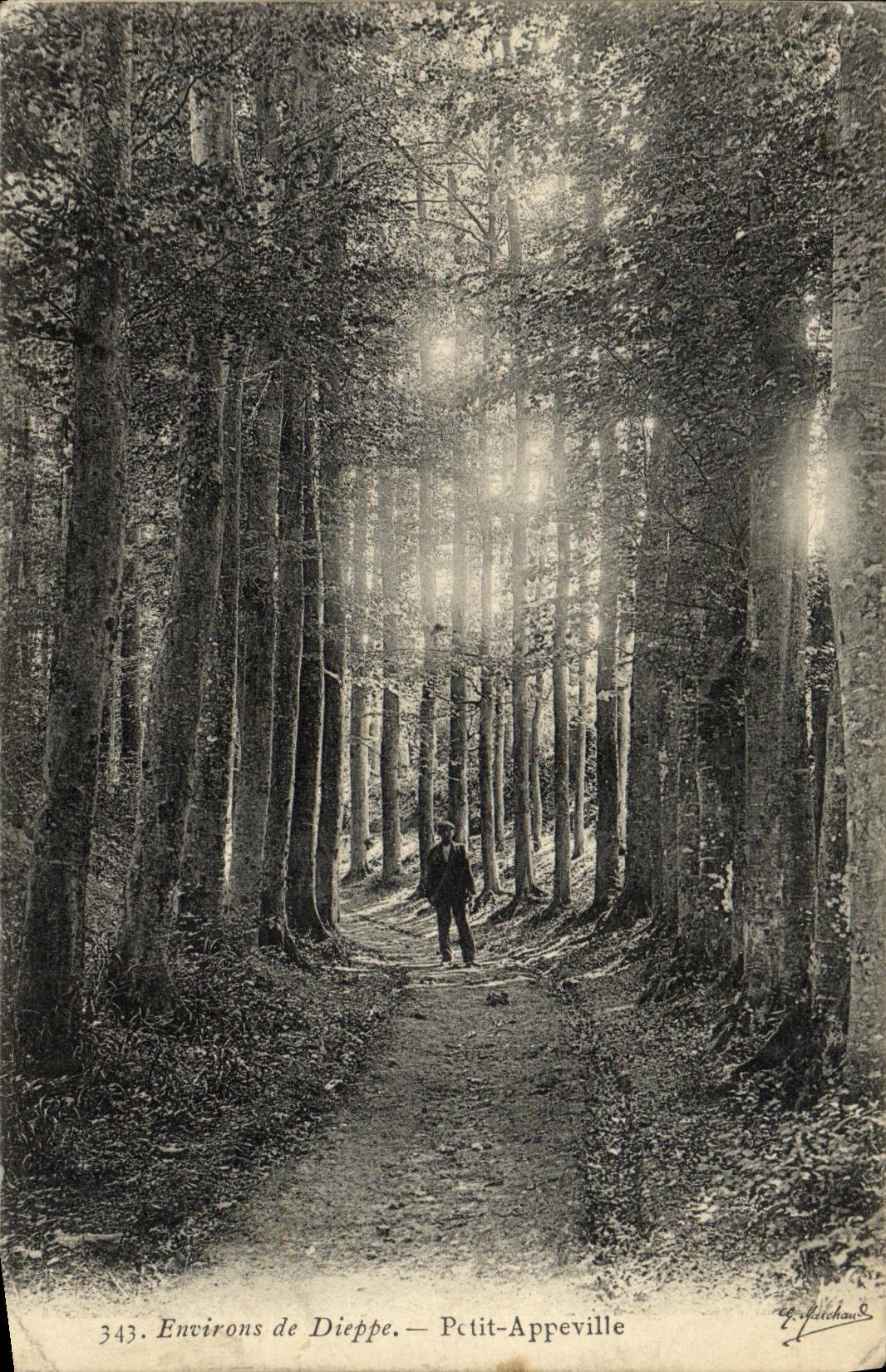 Alrededores de la POSTAL de la VENDIMIA de Dieppe pequeno Appeville