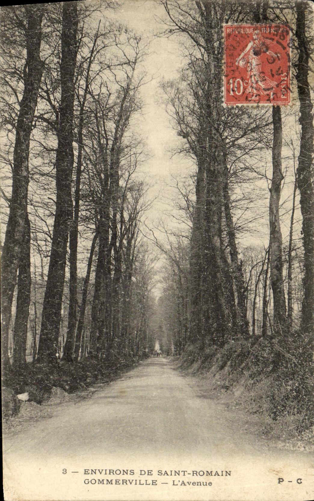 VINTAGE POSTCARD Surroundings Of Saint Romain Gommerville L Avenue