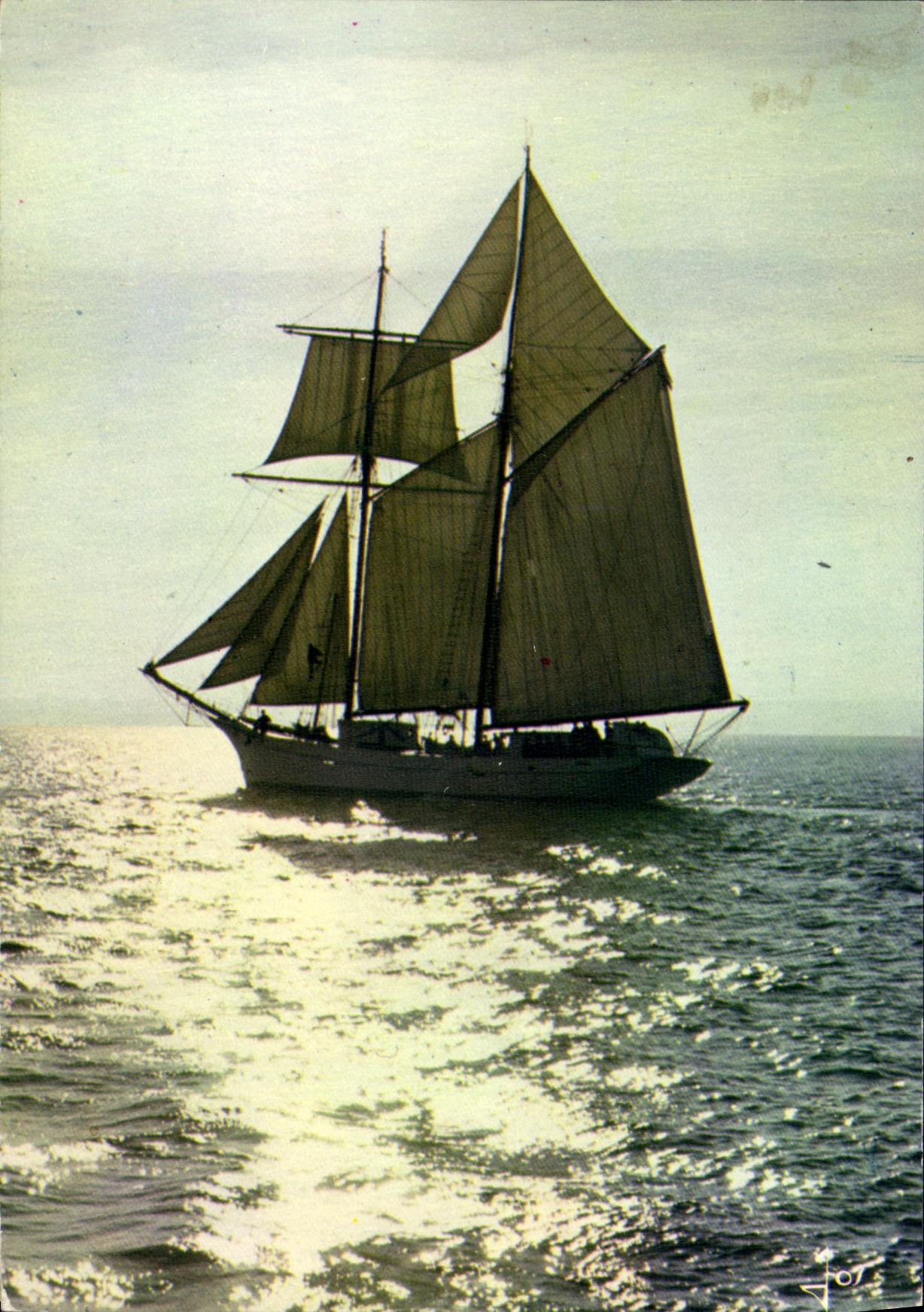 CPM Bateau Une barque aux voiles blanches