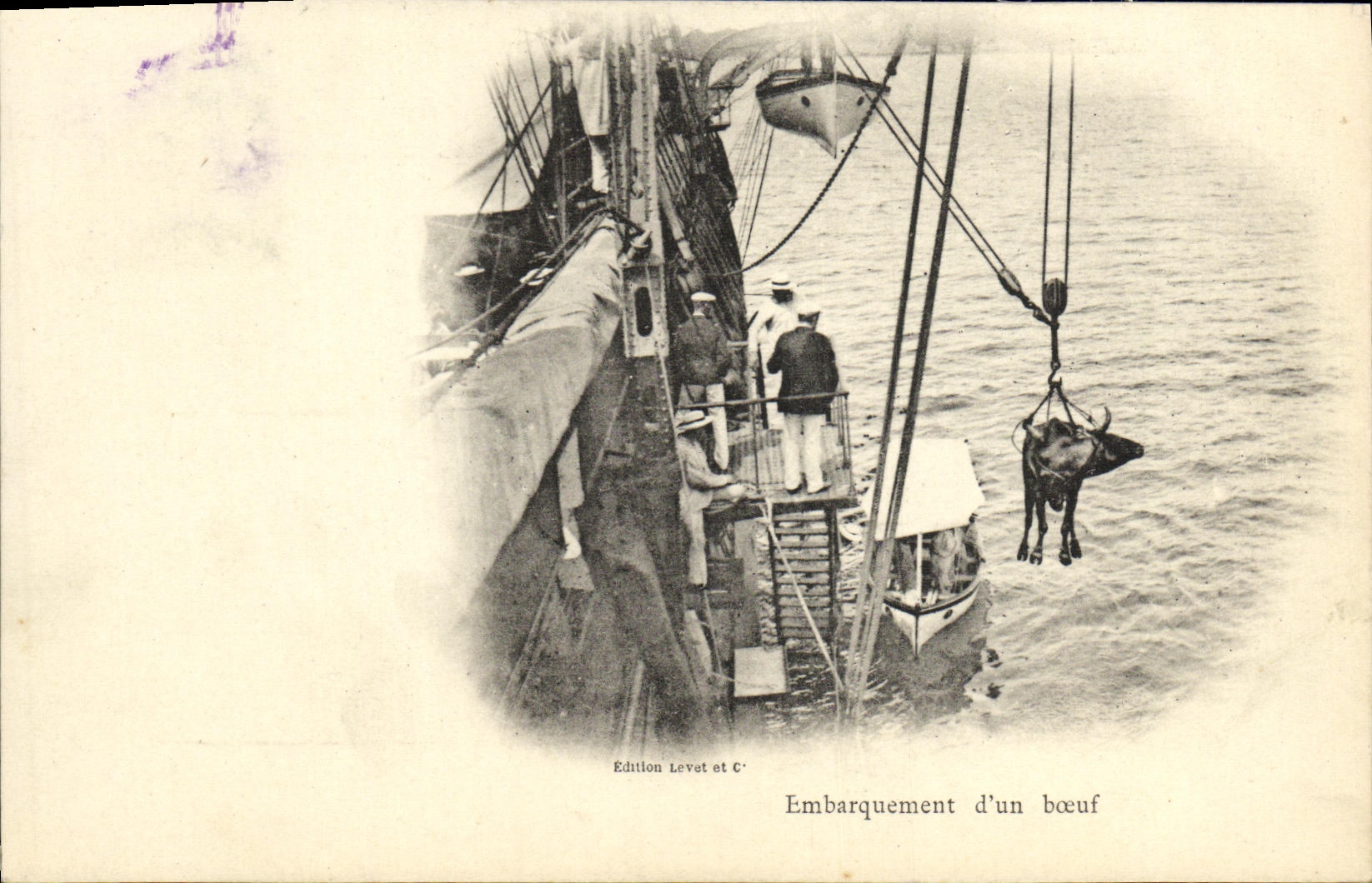 VINTAGE POSTCARD Boat Loading D an ox