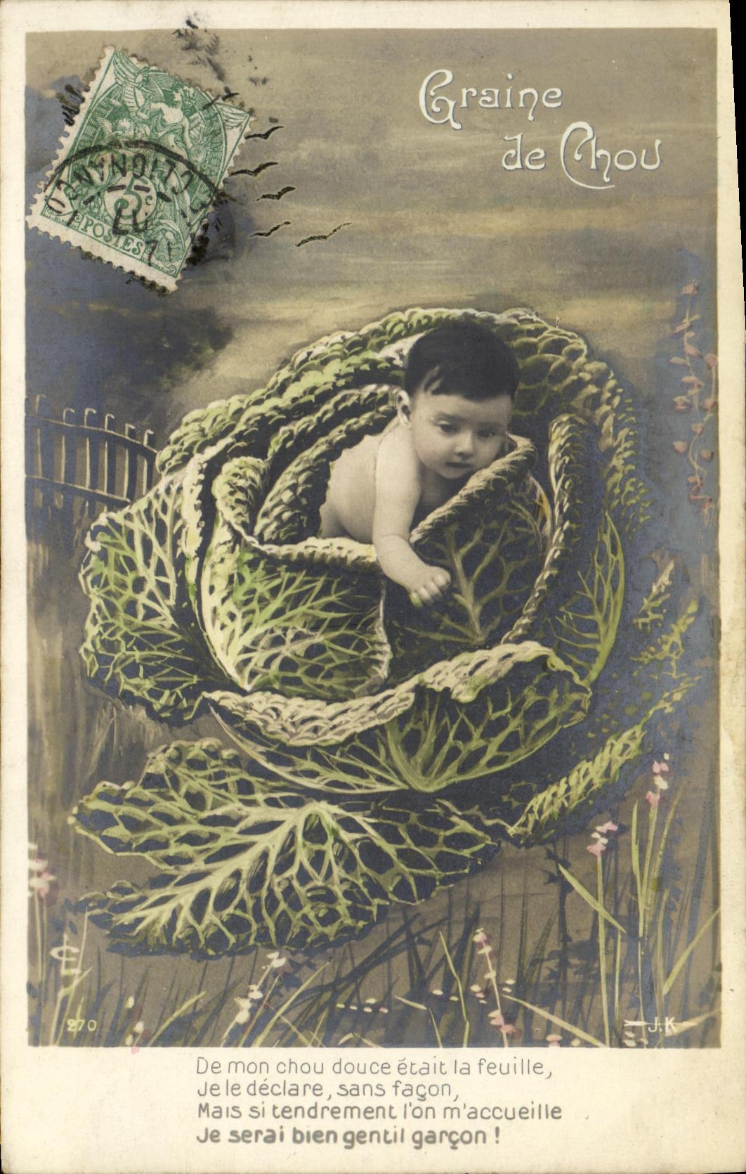 VINTAGE POSTCARD Fantaisie Child Granulates cabbage