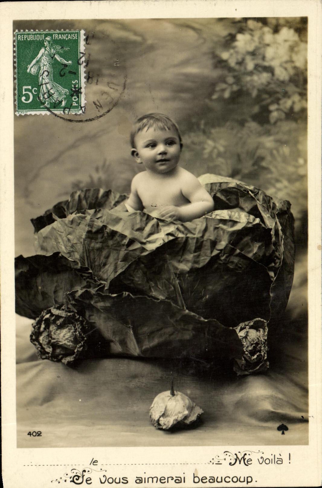 VINTAGE POSTCARD Fantasy Child in a cabbage
