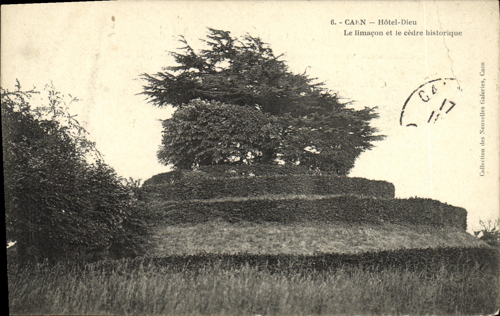 VINTAGE POSTCARD Caen L Hotel God the Snail and the historical cedar
