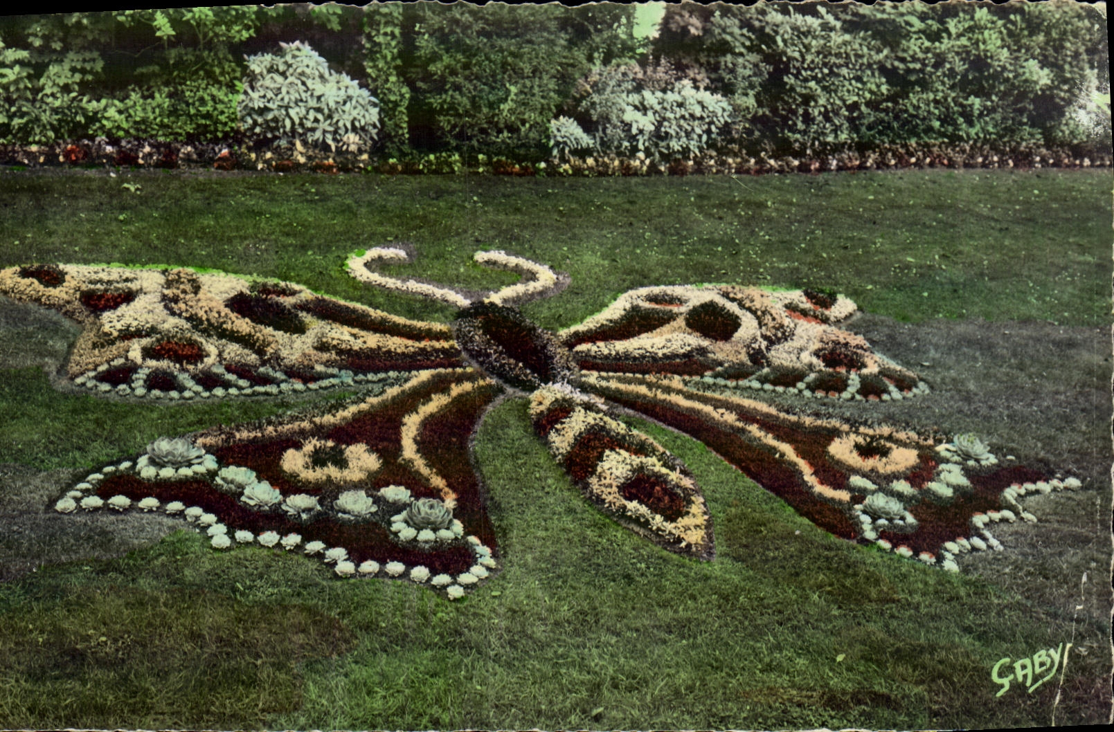 MODERN CARD Caen the Botanical garden Butterfly