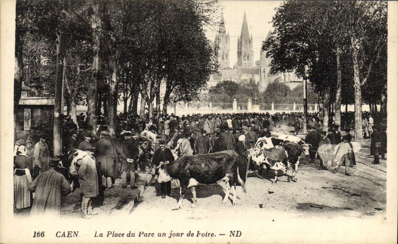 VINTAGE POSTCARD Caen the Place of Avoids one Day of Fair Vacehs TOP