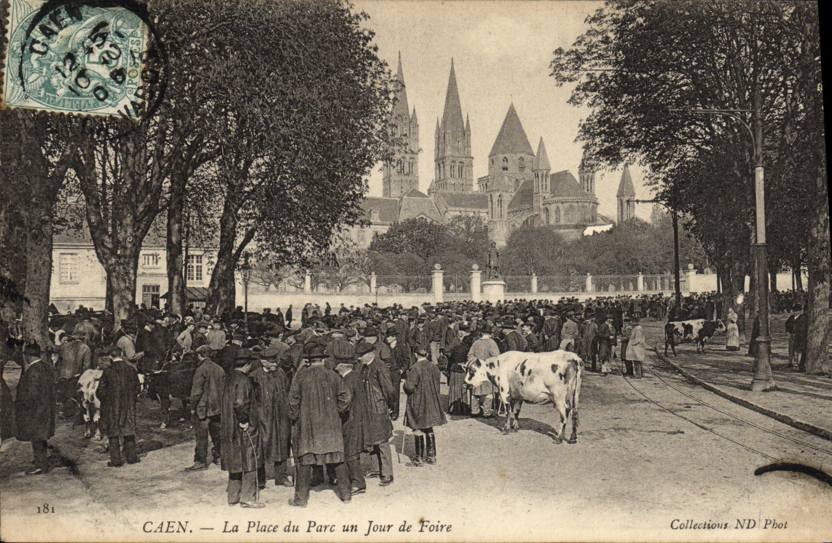 VINTAGE POSTCARD Caen the Place of Avoids one Day of Fair Cows Goes TOP