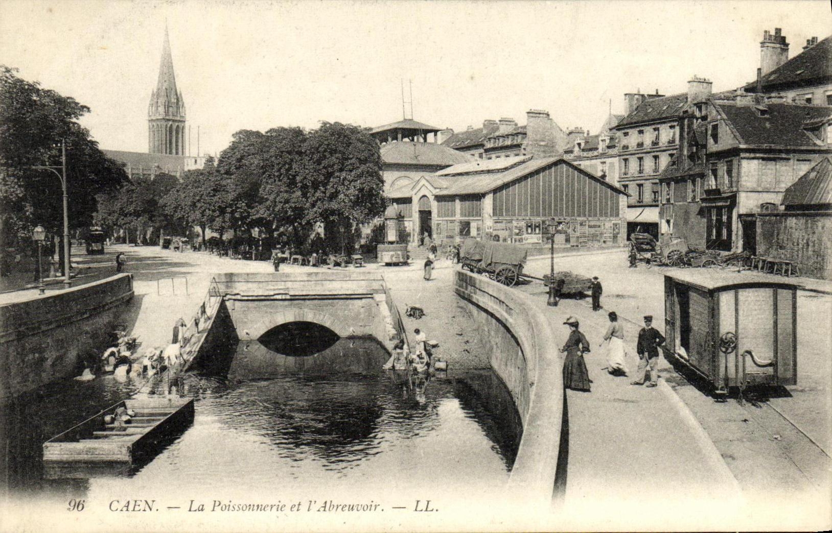 La POSTAL Caen de la VENDIMIA los pescados hace compras y L canal de alimentacion