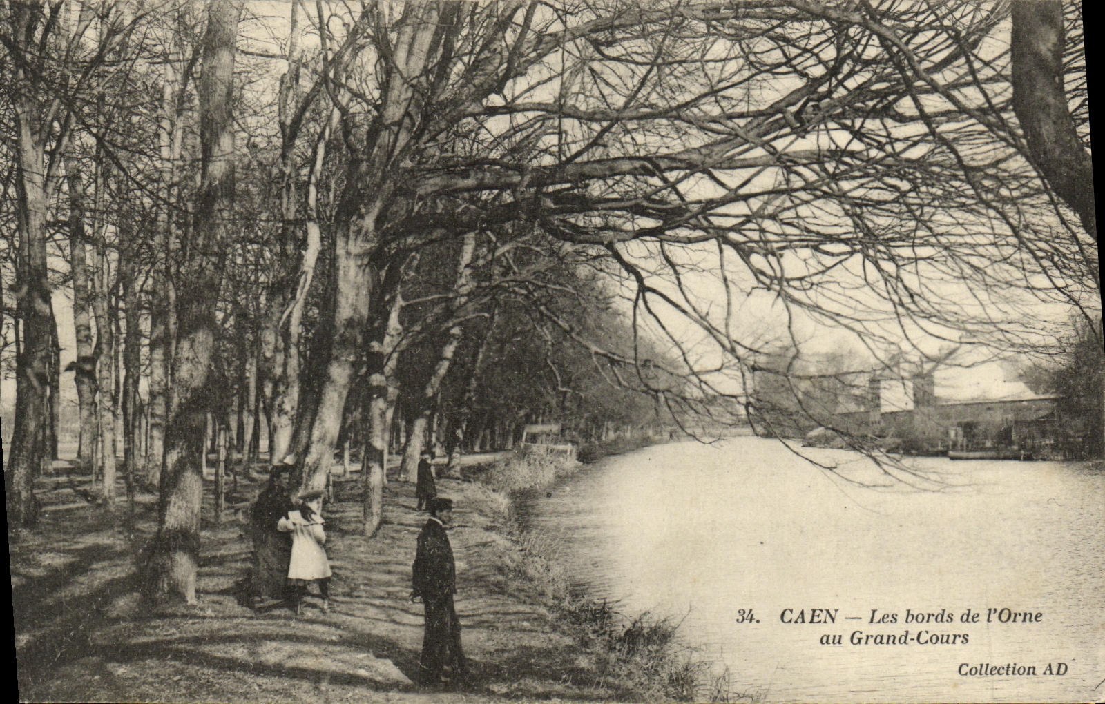 POSTAL Caen de la VENDIMIA que los bordes de L adornan con el gran curso