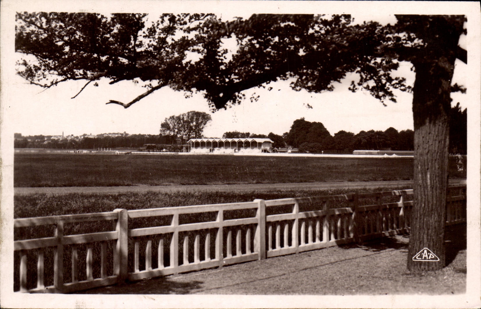 Caballos de Hippisme del hipodromo de Caen de la POSTAL de la VENDIMIA