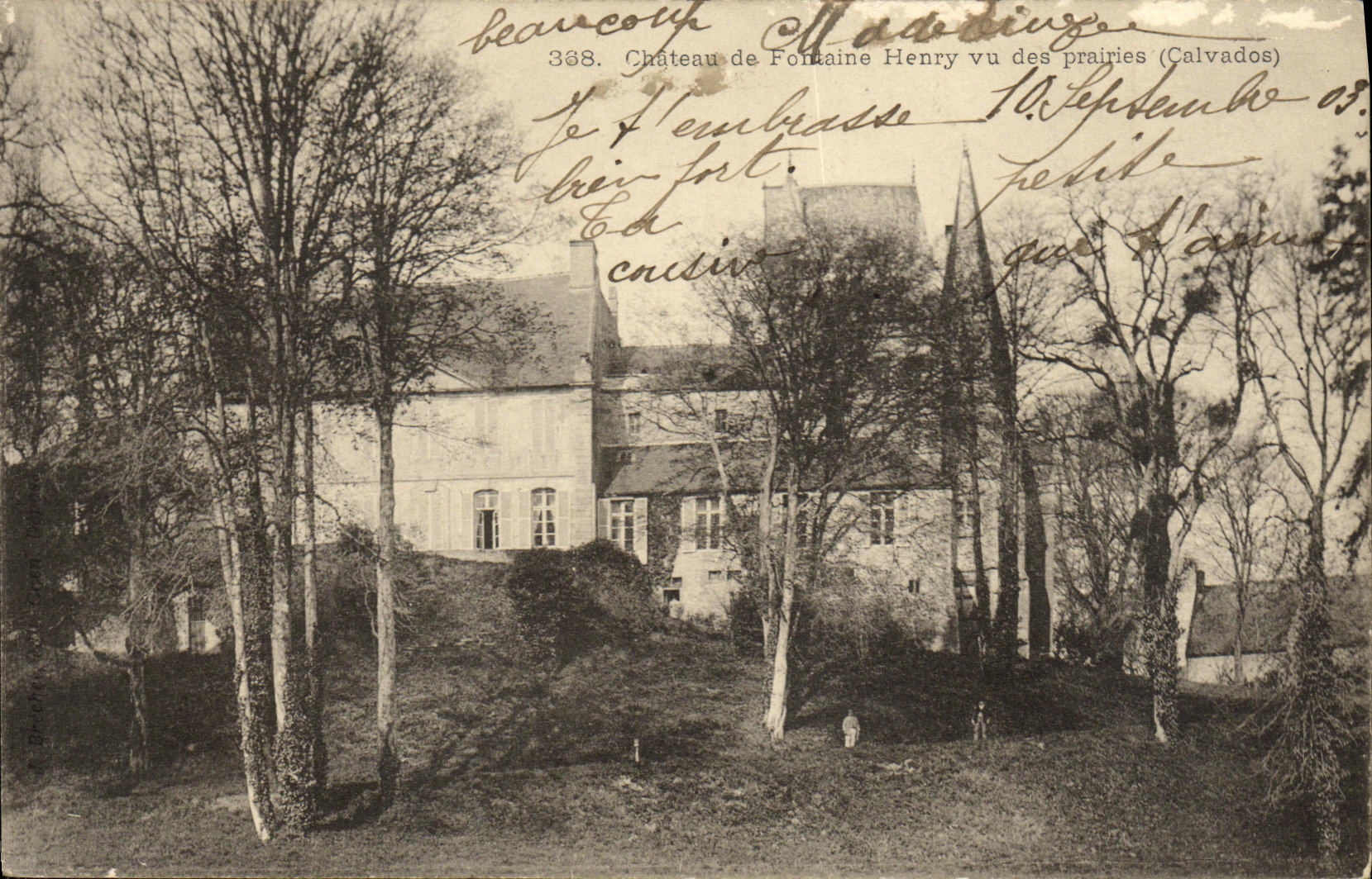 VINTAGE POSTCARD Castle of Henry Fountain seen of the Meadows