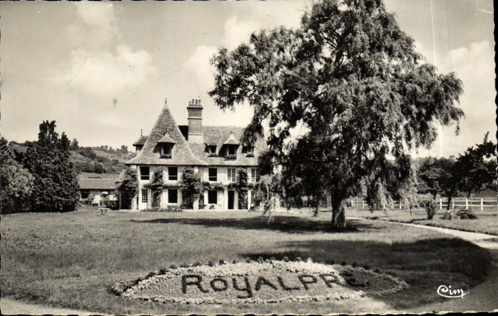 MODERN CARD Dozule Royalpre