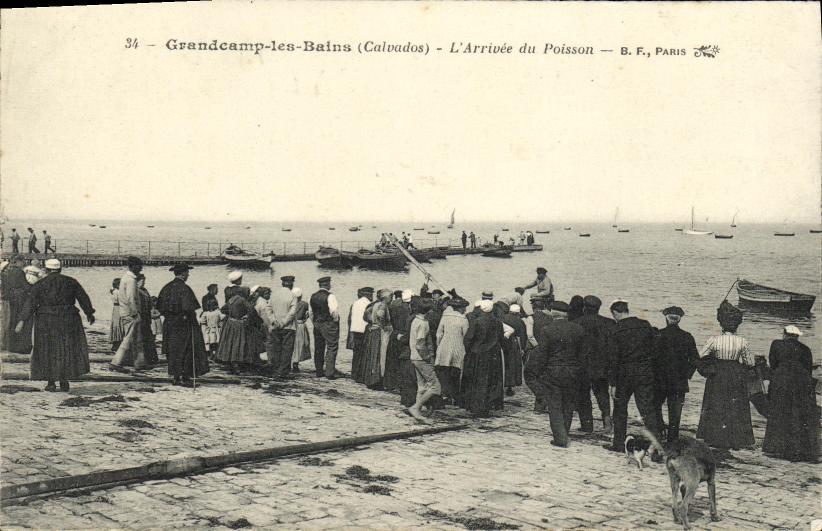 VINTAGE POSTCARD Grandcamp les Bains L Arrived of Poisson TOP