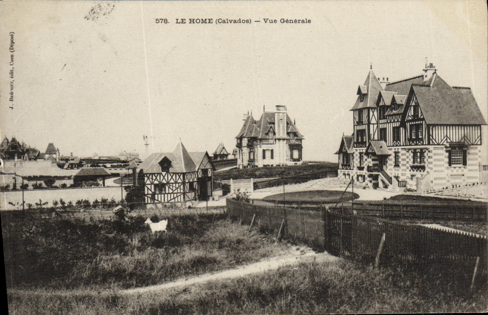 VINTAGE POSTCARD the Home View Goat