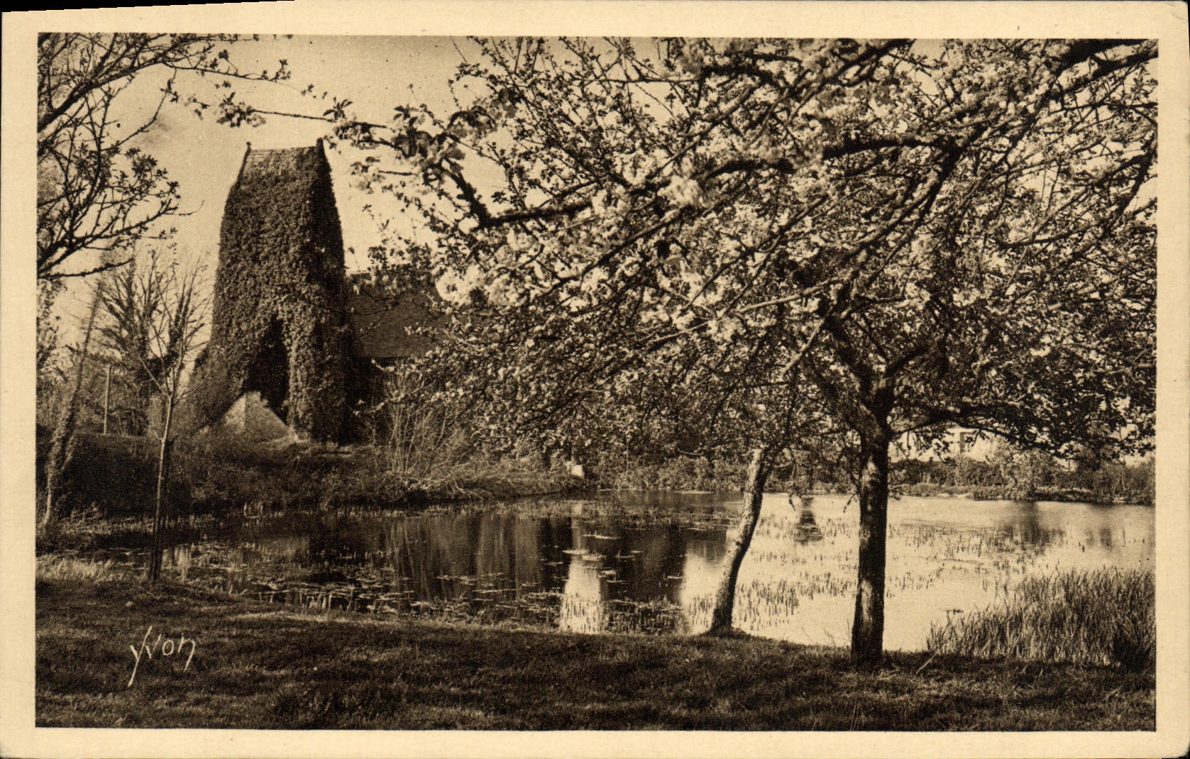 VINTAGE POSTCARD Vieux manor under the apple trees in Cote flowers Grace Road of Honfleur has Trouville