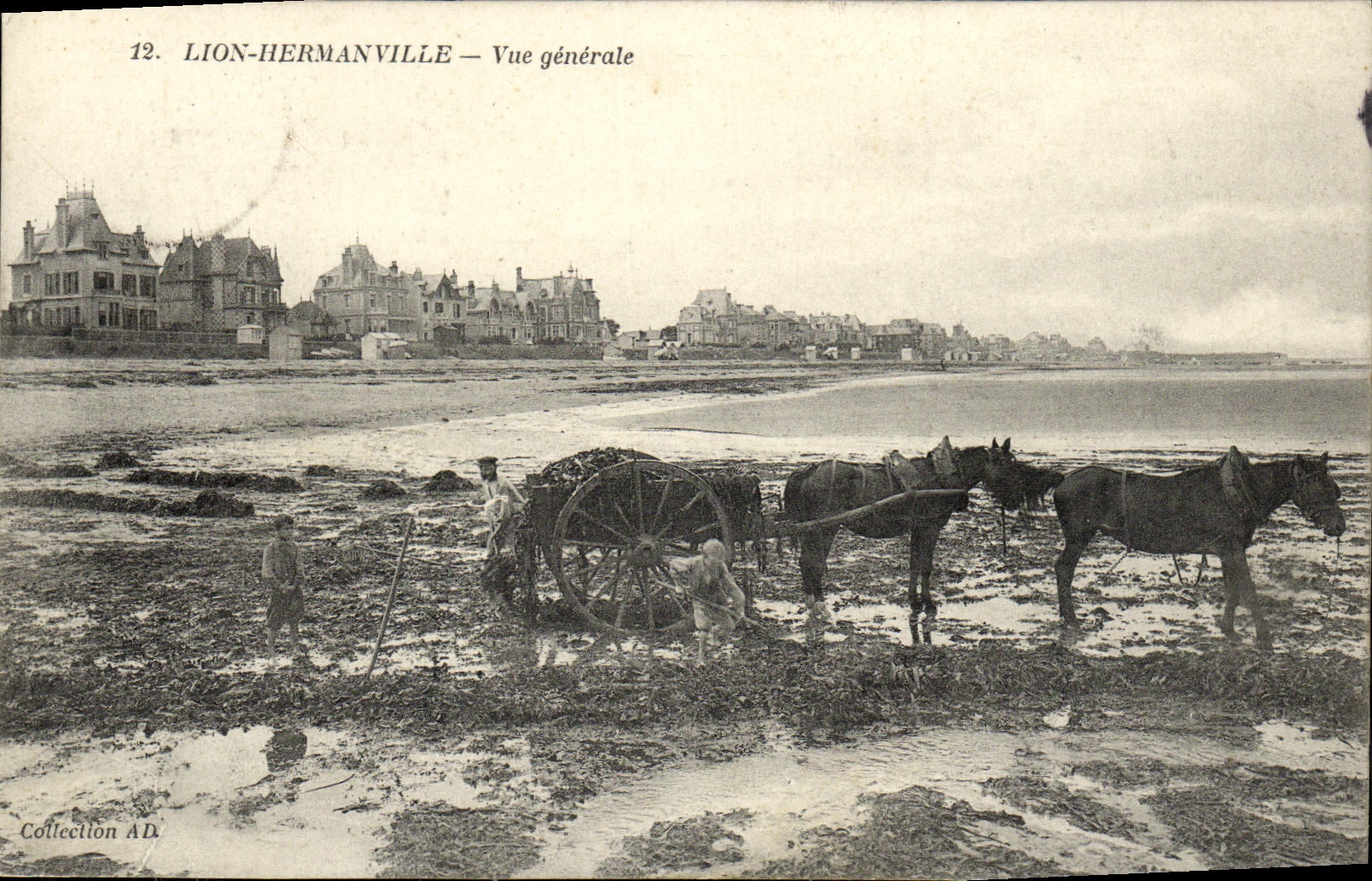 VINTAGE POSTCARD Hermanville Lion View Horse good animation