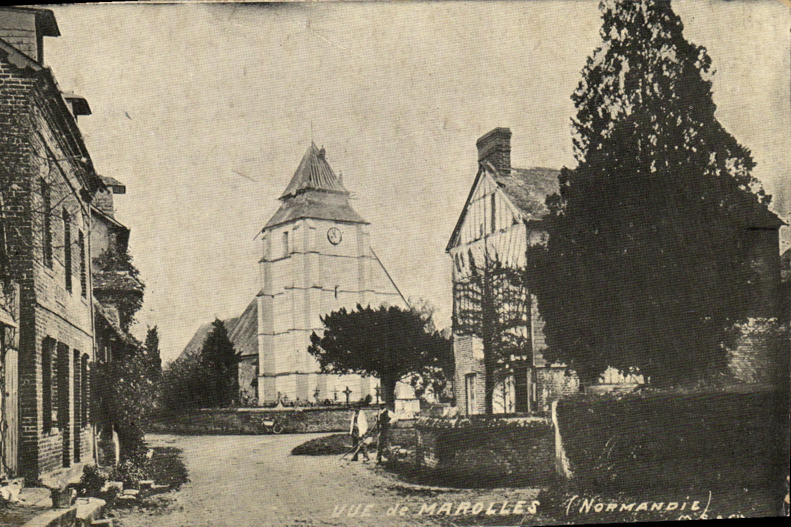 VINTAGE POSTCARD Seen Maroilles cheese