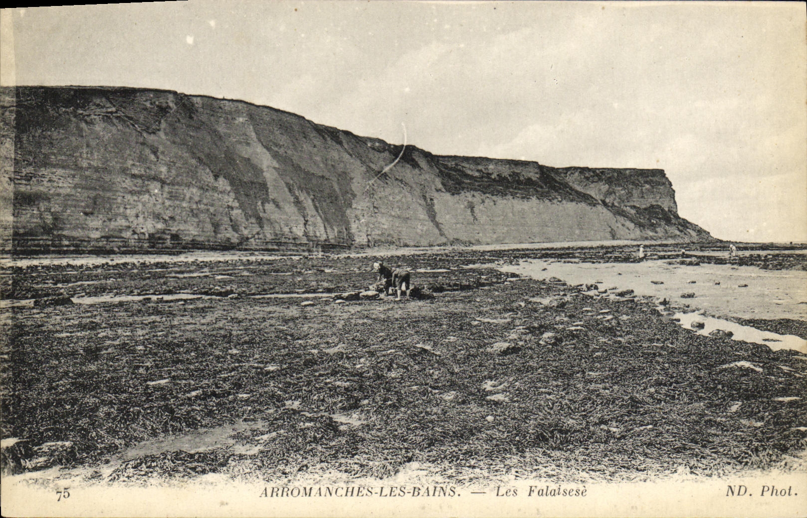 Acantilados de Arromanches de la POSTAL de la VENDIMIA les Bains