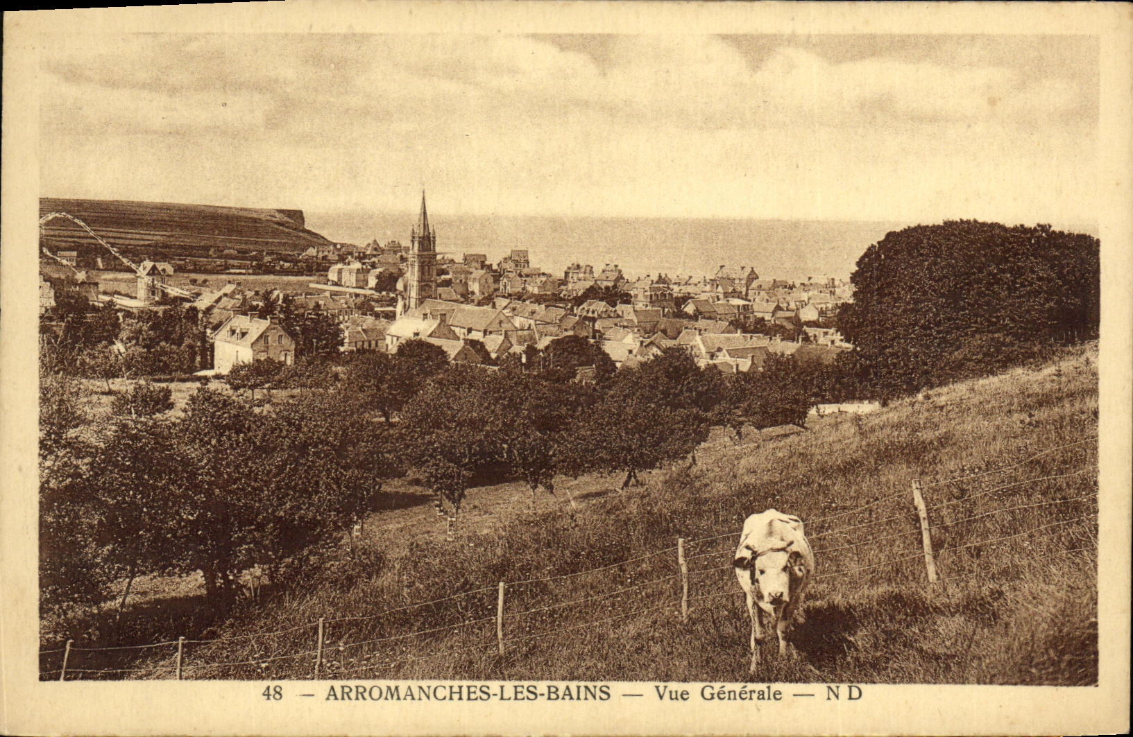 CPA Arromanches les Bains Vue Generale Vache