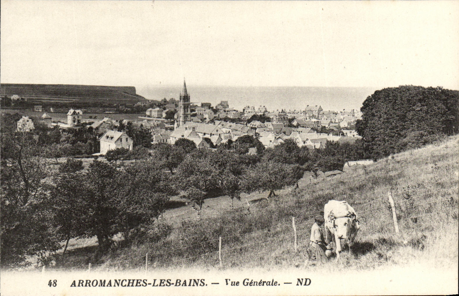 CPA Arromanches les Bains Vue Generale Fermier et vache