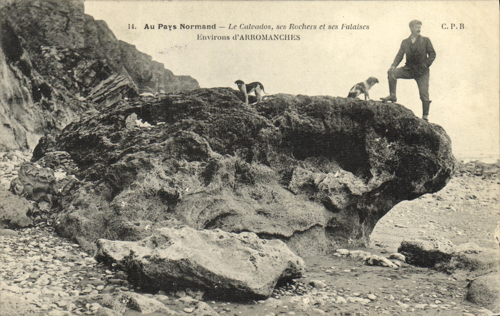 Alrededores hombre y perros de Arromanches de la POSTAL de la VENDIMIA
