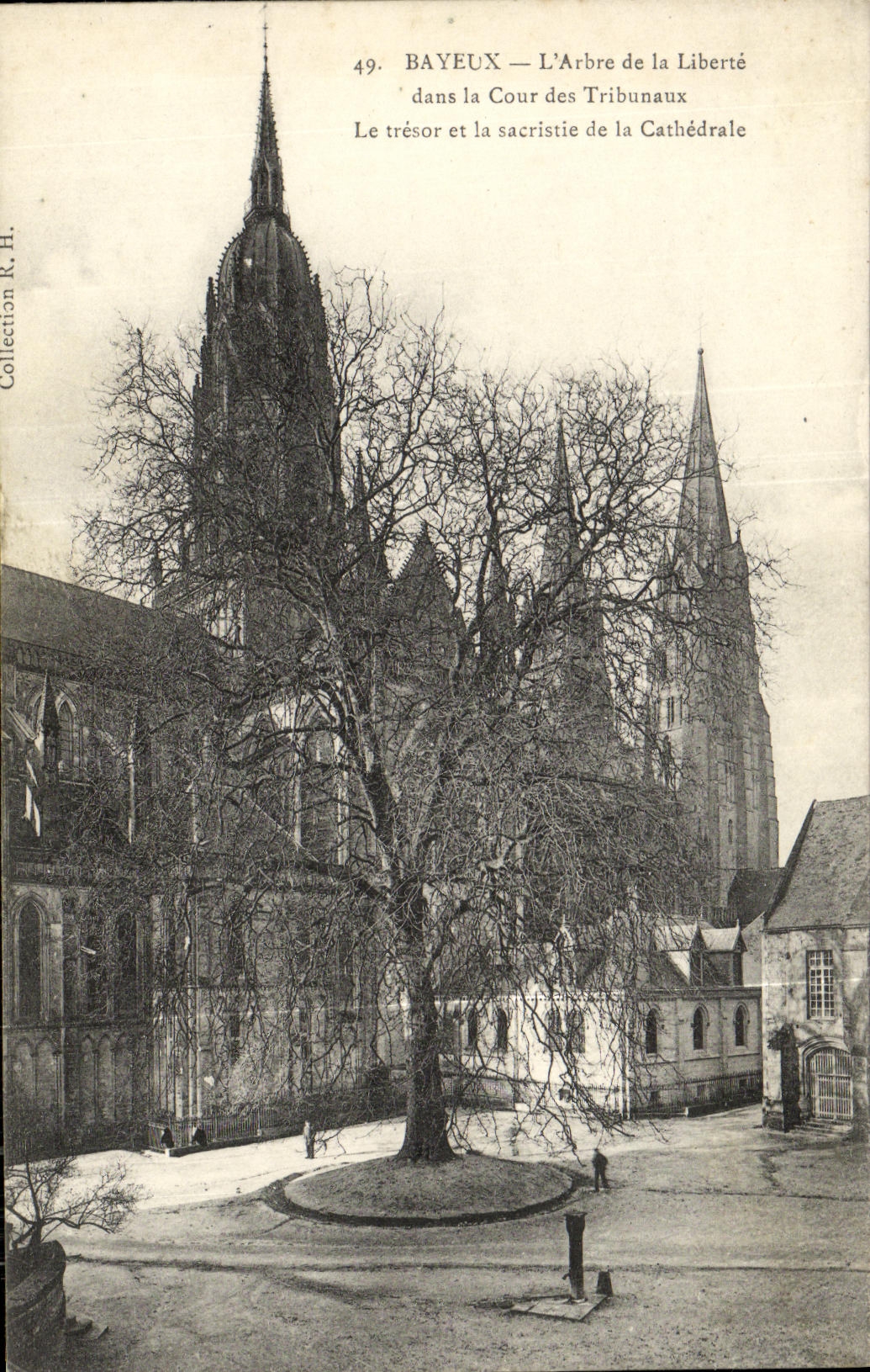 POSTAL Bayeux L arbol de la VENDIMIA de la libertad en la corte de las cortes