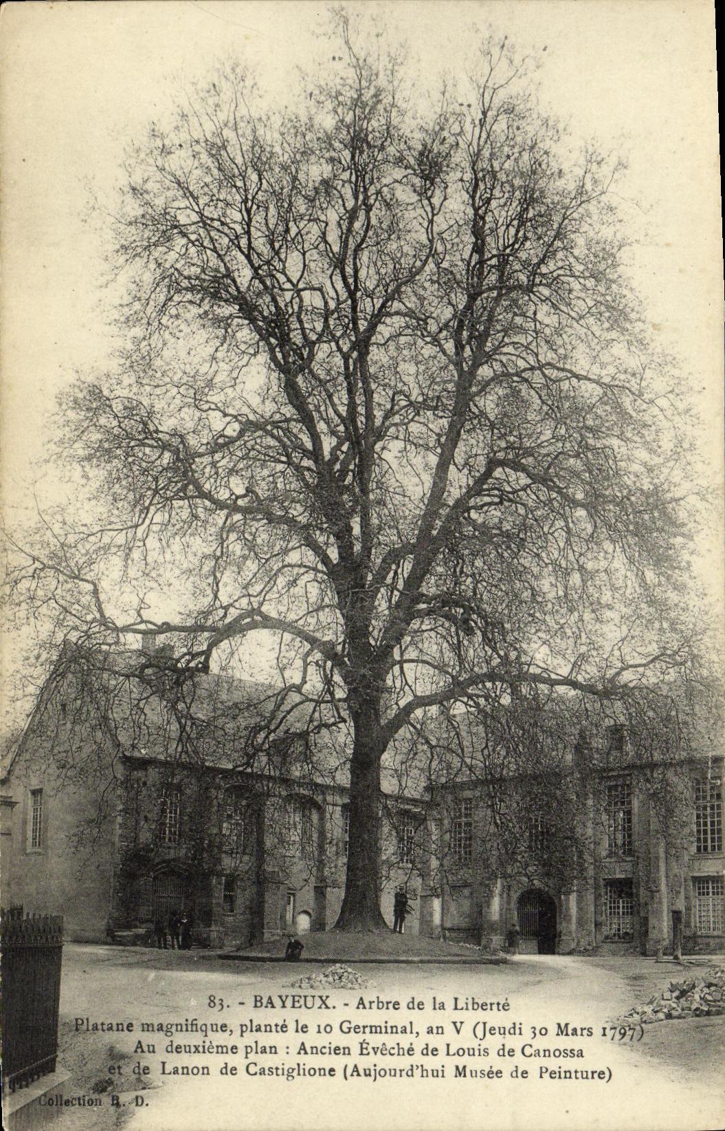 CPA Bayeux Arbre de la Liberte 