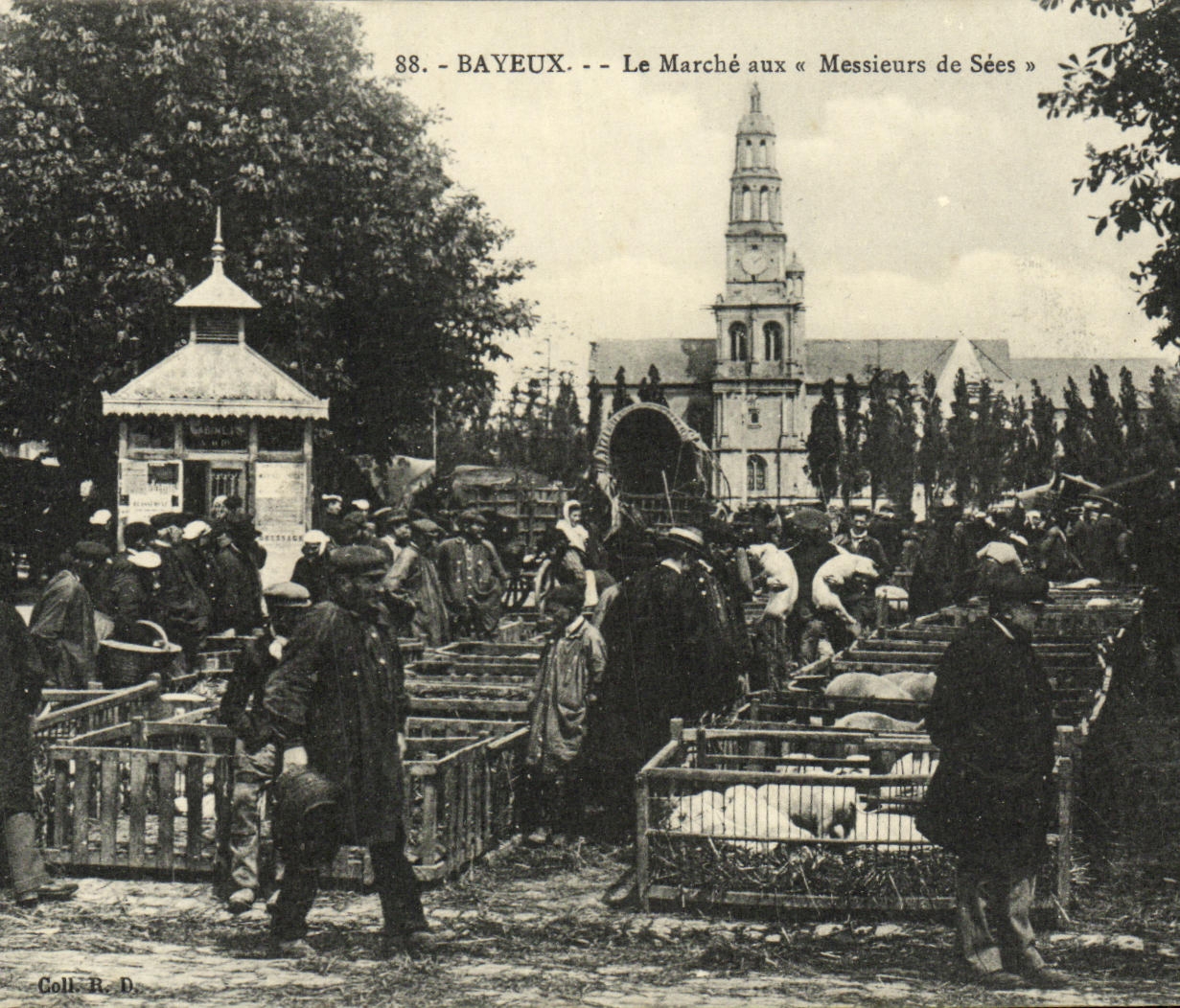 El mercado de Bayeux de la POSTAL de la VENDIMIA con los cerdos de sires de Sees Pigs REMATA