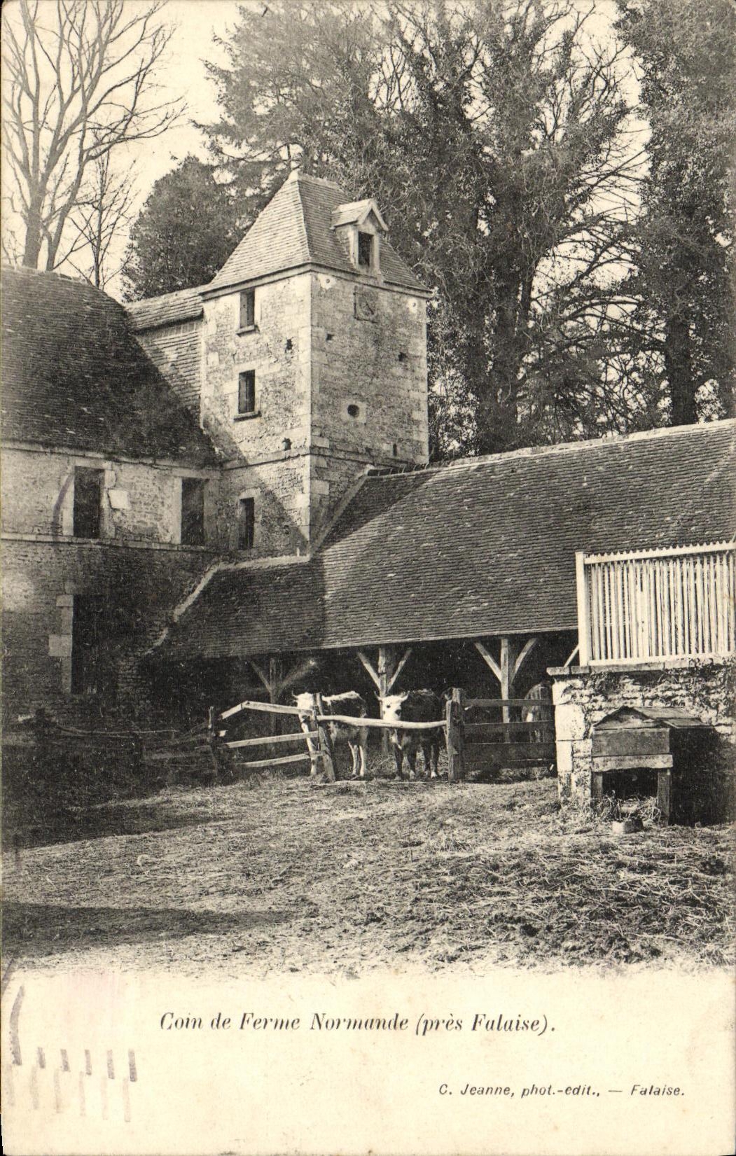 CPA Coin de Ferme Normande pres Falaise Vaches