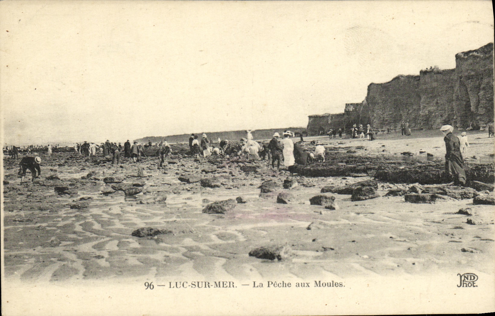 CPA Luc Sur Mer La Peche Aux Moules