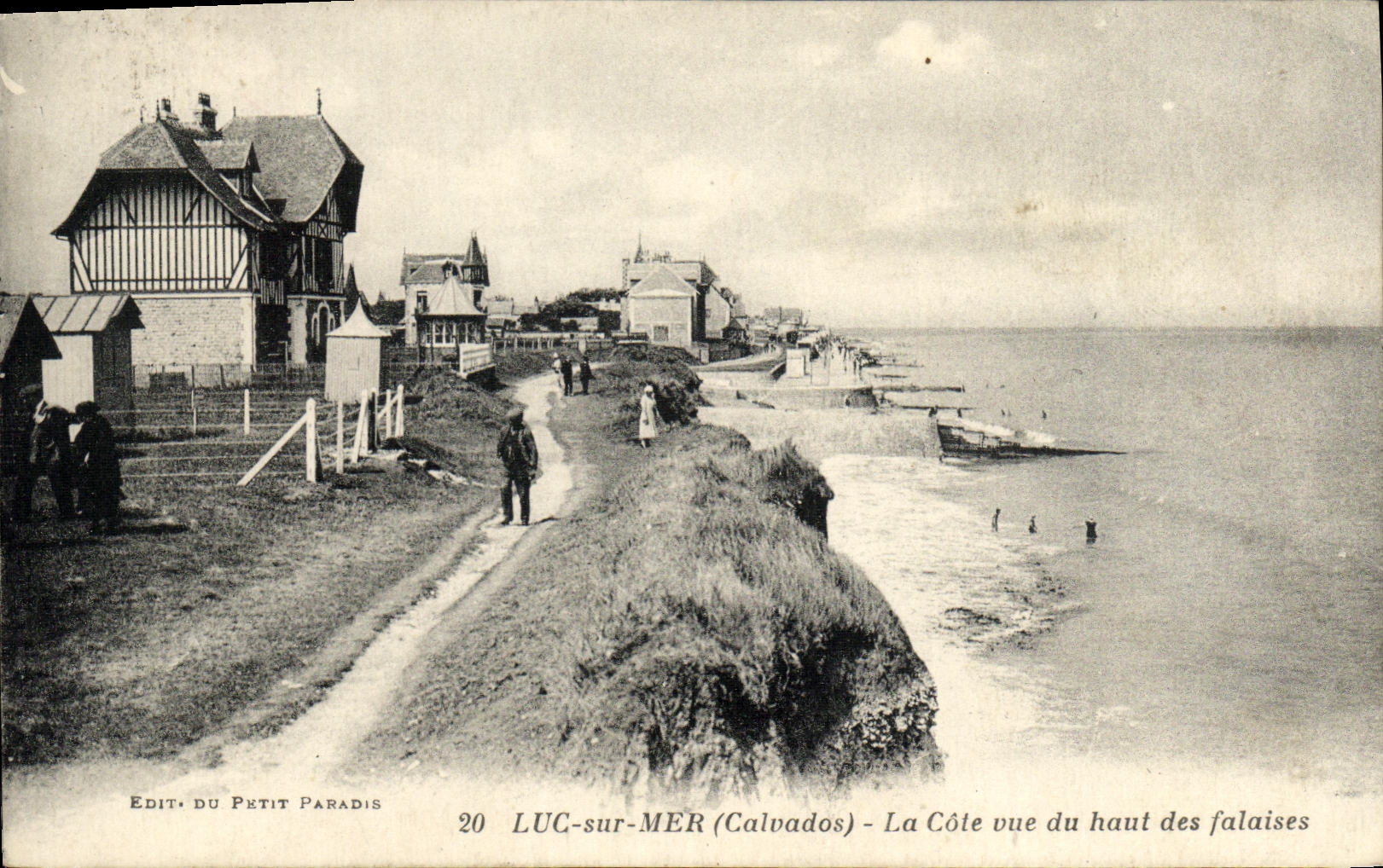 CPA Luc Sur Mer La Cote Vue Du Haut des Falaises