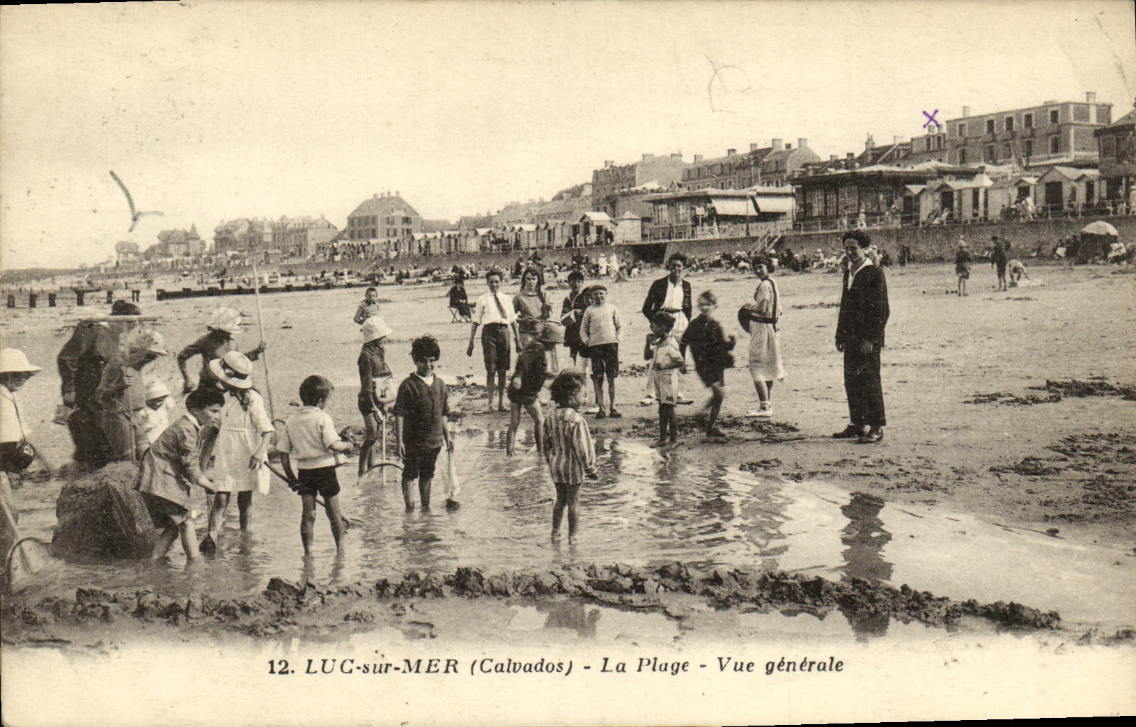 CPA Luc Sur Mer La Plage Vue Generale Enfants