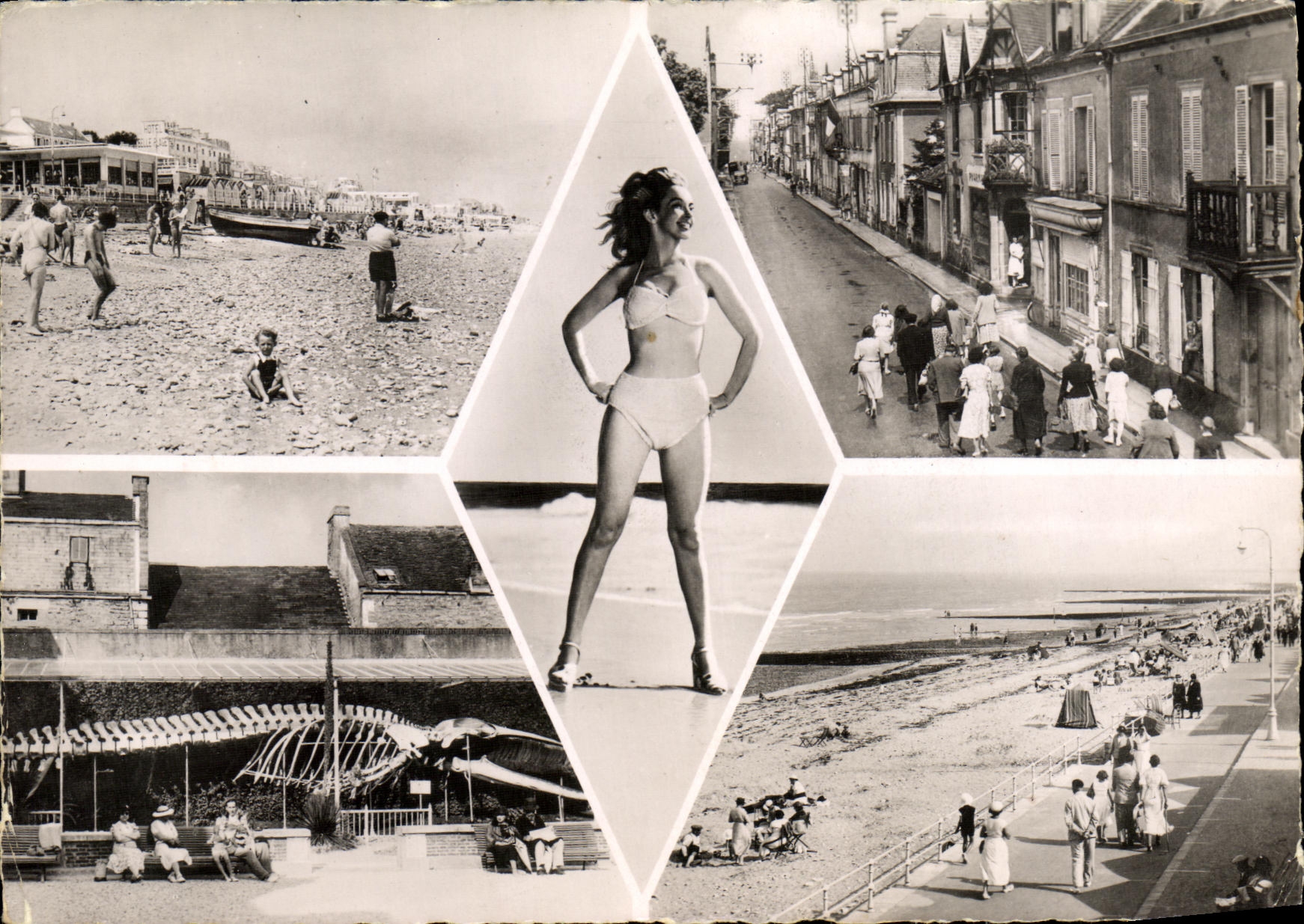 POSTAL MODERNA Lucas en el pino UpBaleine del mar