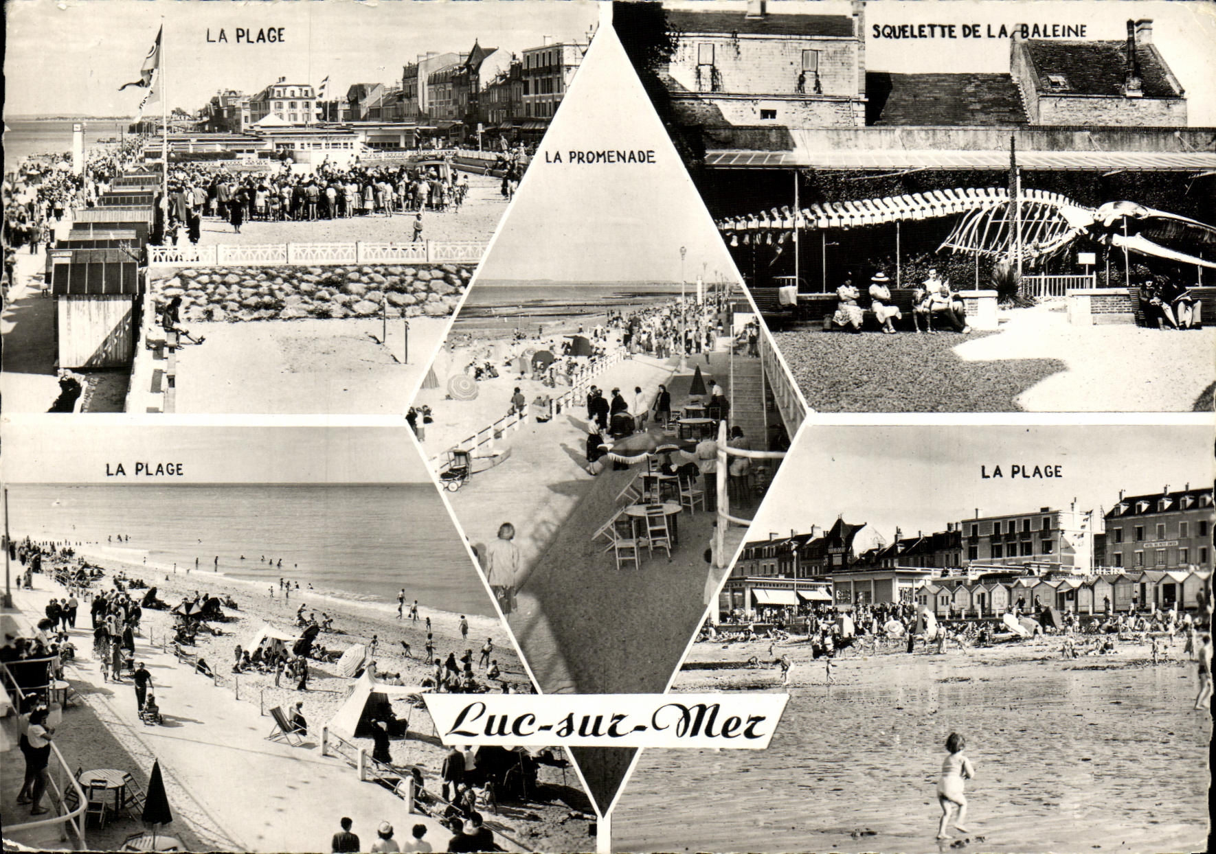 POSTAL MODERNA Lucas en la playa de la ballena del mar