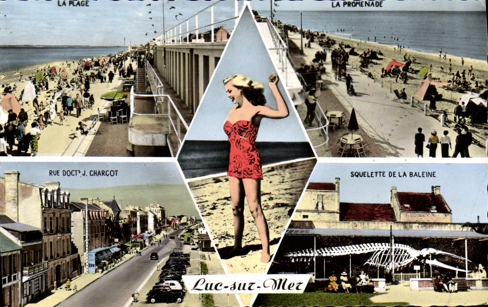 CPM Luc Sur Mer souvenir Docteur Charcot Pin up Baleine 
