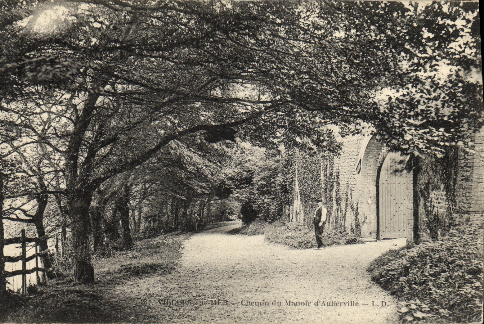 VINTAGE POSTCARD Villers de Mer Way of the manor D auberville