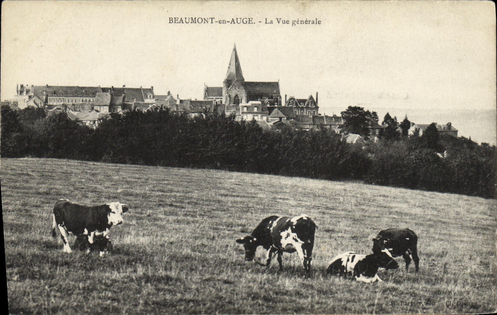 CPA Beaumont en Auge La Vue generale Vaches