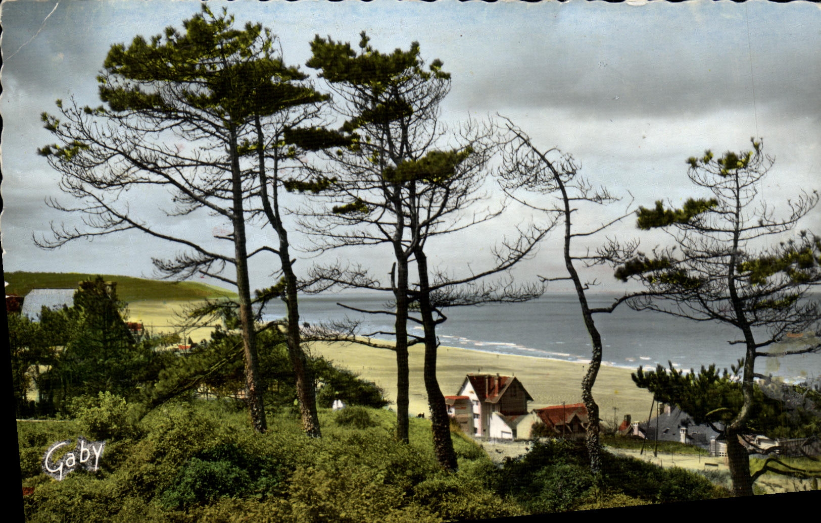 CPM Blonville sur Mer La Cote a travers les Sapins