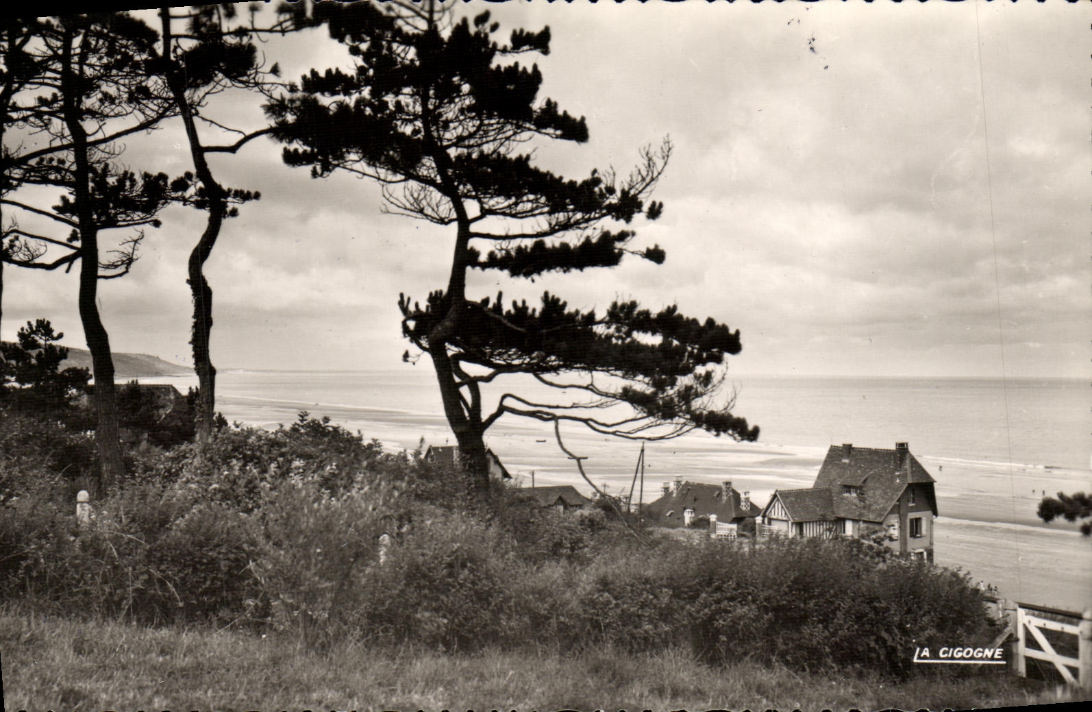 CPM Blonville sur Mer Apercu de la Plage