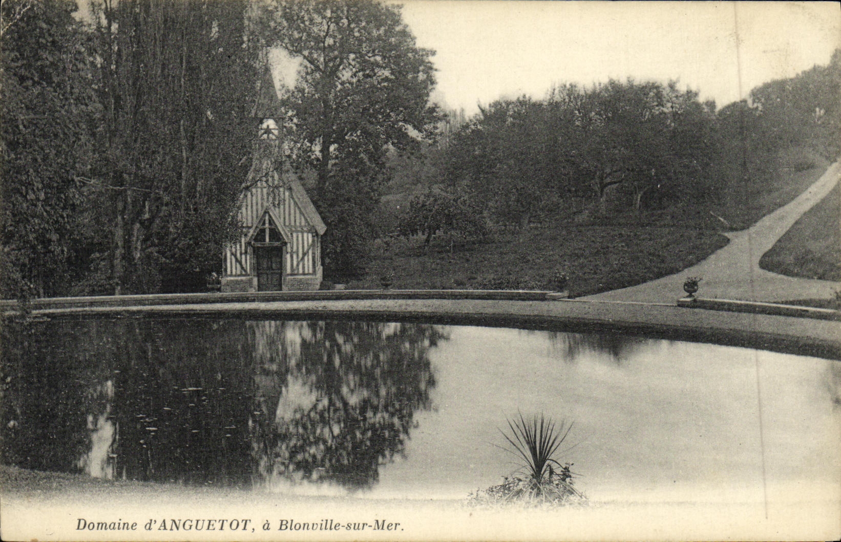 CPA Domaine d Anguetot a Blonville sur Mer 