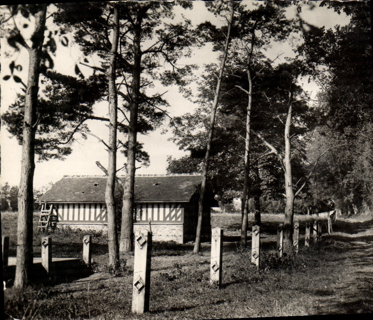 MODERN CARD Cesny Halbout Wood a pretty corner of the Park