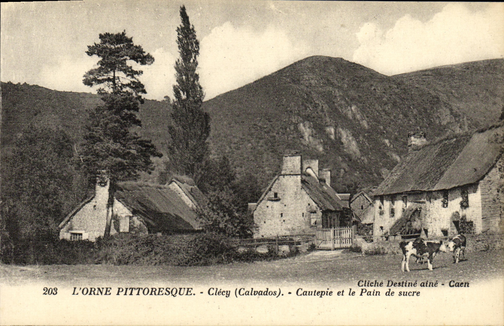 CPA L Orne Pittoresque Clecy Cautepie et le Pain de sucre Vaches